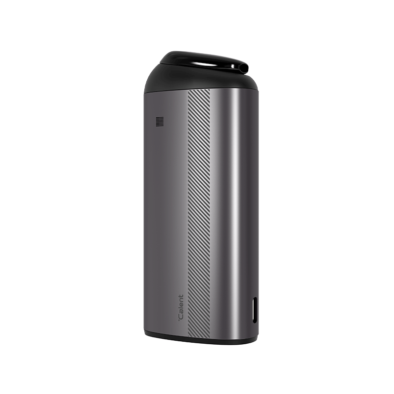 AUXO Calent Vaporizer Silver Back View