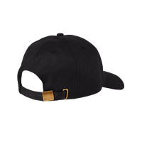 Higher Standards Dad Hat Black Back