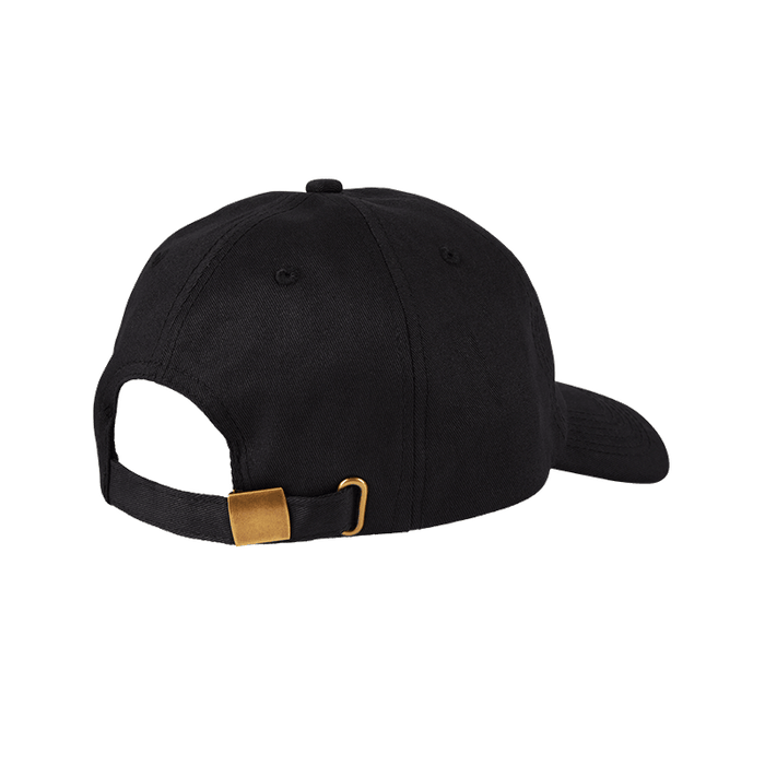 Higher Standards Dad Hat Black Back
