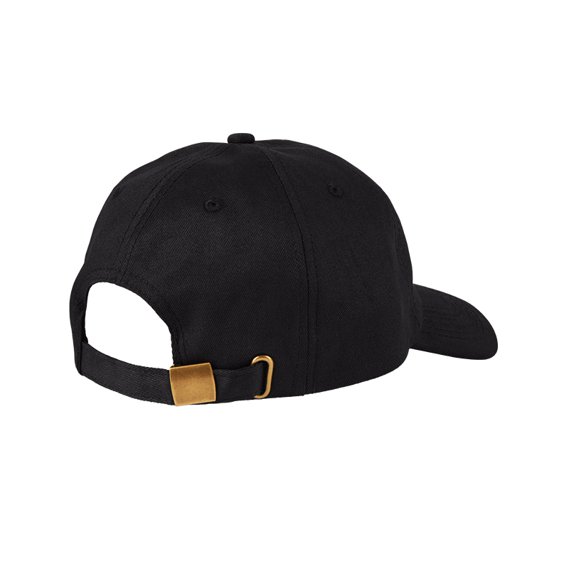 Higher Standards Dad Hat Black Back