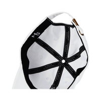 Higher Standards Dad Hat White Inside