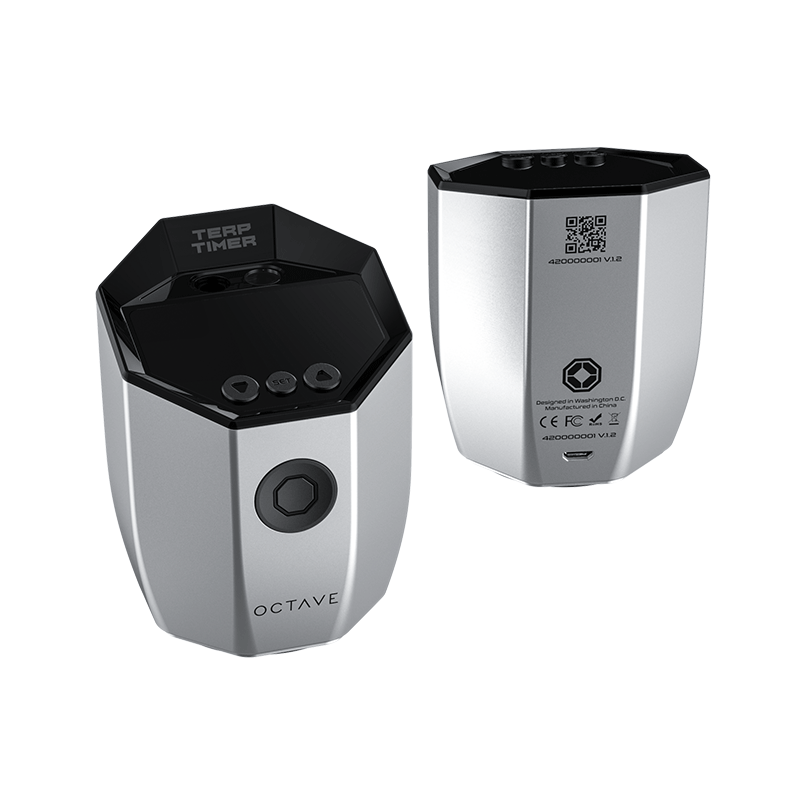 Octave Terp Timer Silver Back and Front
